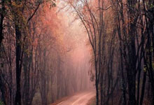 咪咕体育：退钱哥满含热泪深夜开播，直言中国队表现已经很好了.