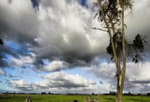 科纳特2分，萨利巴3分：队报批评法国队中后场表现.