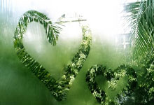 咪咕体育：场均超21分钟获高额奖金！王岚嵚得偿所愿 辽篮绝非无情无义之队.