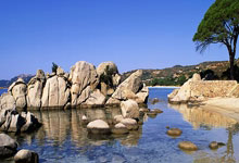 科纳特2分，萨利巴3分：队报批评法国队中后场表现.